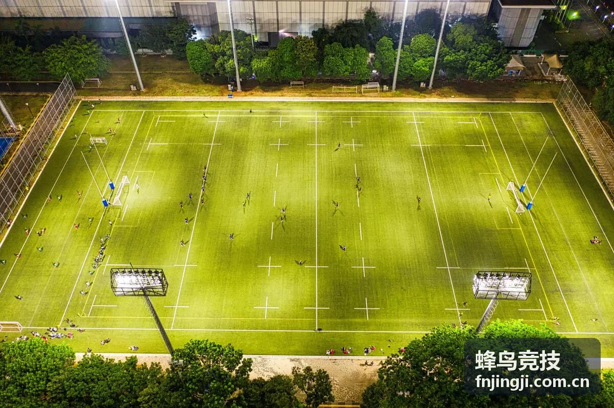 蜂鸟竞技装备蜂鸟之刃